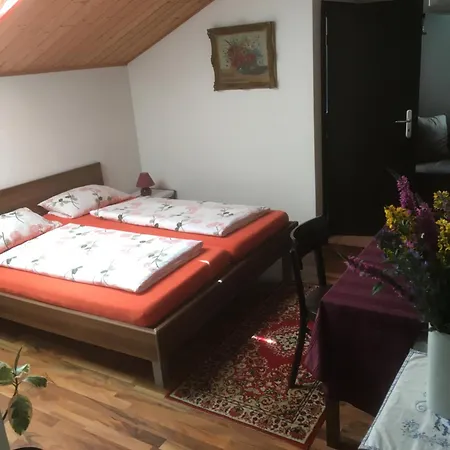 Zur Freiheit בית הארחה 3*