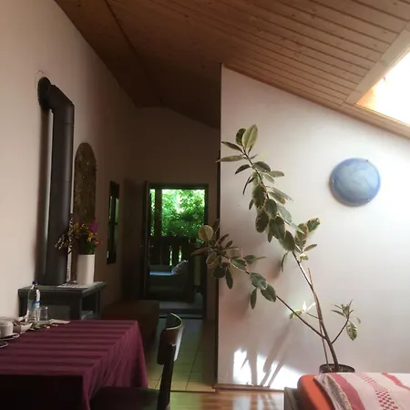 Zur Freiheit Penzion Pasov