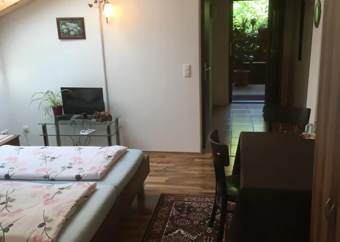 Zur Freiheit 帕绍
