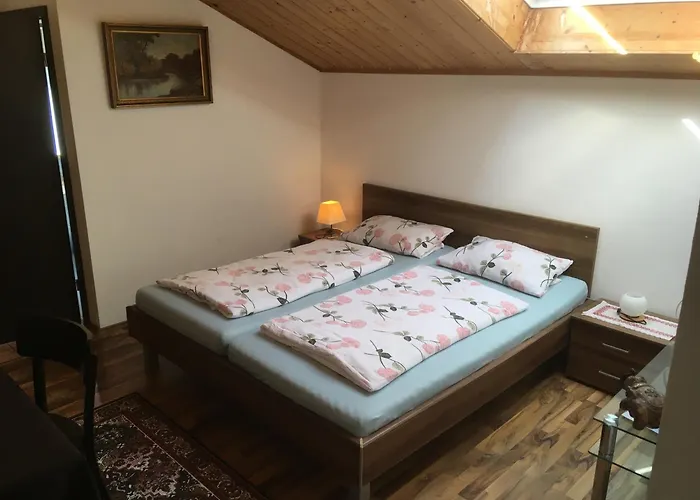 Zur Freiheit 3* 帕绍