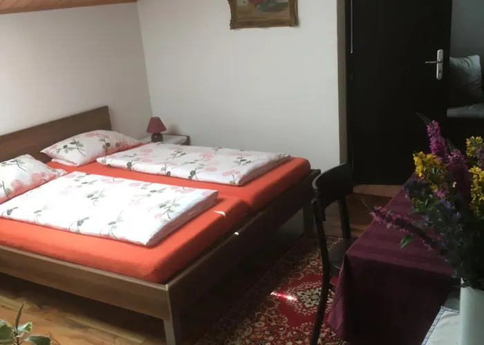 Zur Freiheit 招待所 3*
